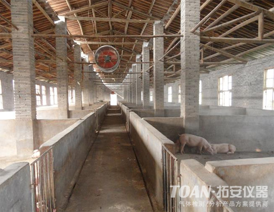 氨氣檢測(cè)儀，氨氣報(bào)警器在養(yǎng)殖場(chǎng)的應(yīng)用-湖南拓安儀器